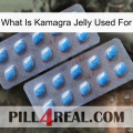 What Is Kamagra Jelly Used For viagra4